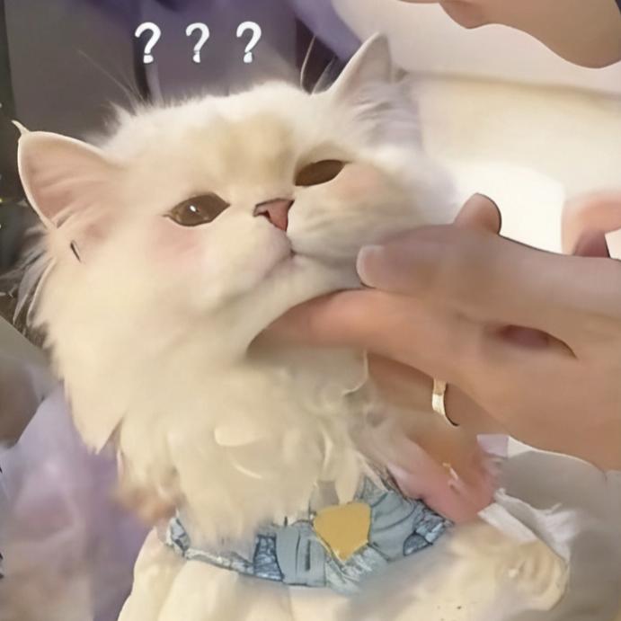 达咩~
