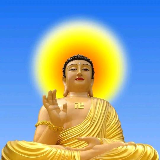 卡卡有钱