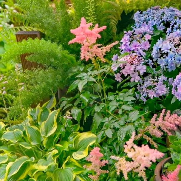 🍥 谜一样的美少女 💖