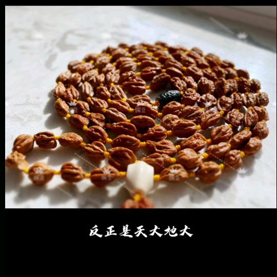 小助手