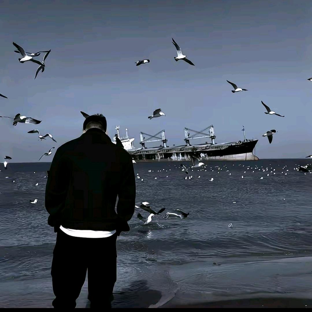 ꦿ舍得໊ོﻬ