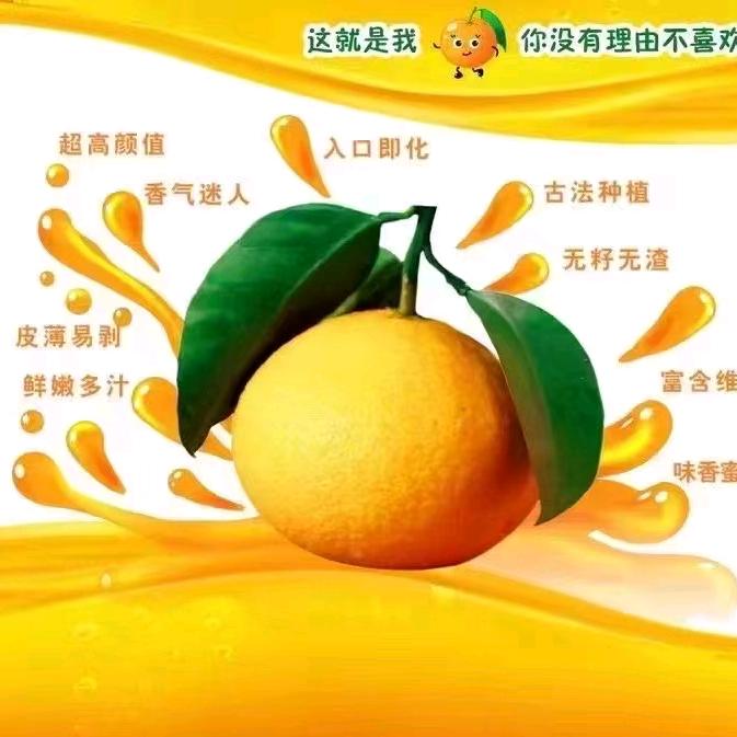 努力搞钱🤗🤗