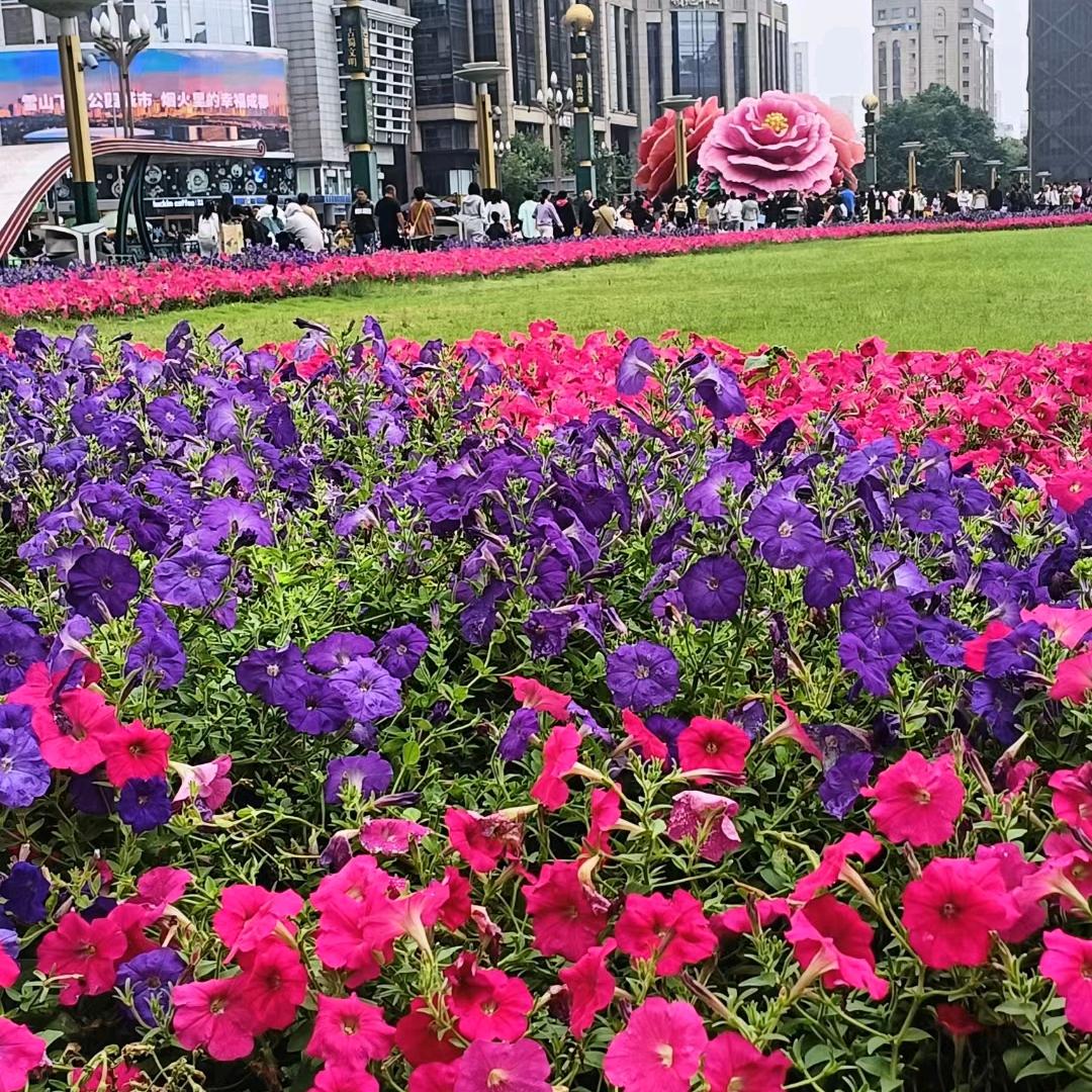 门窗哥《长江》