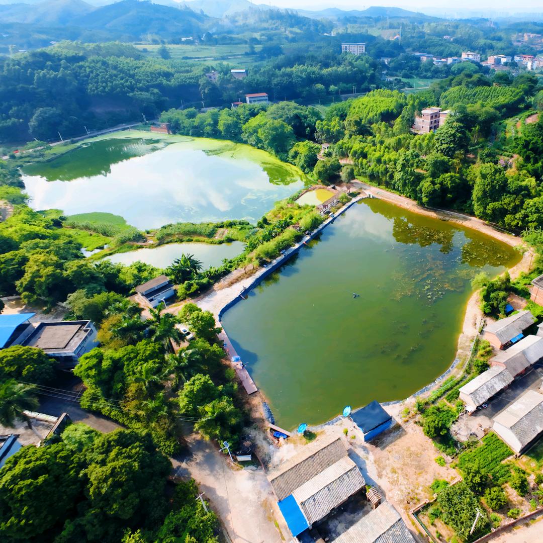 南宁古思休闲娱乐钓场