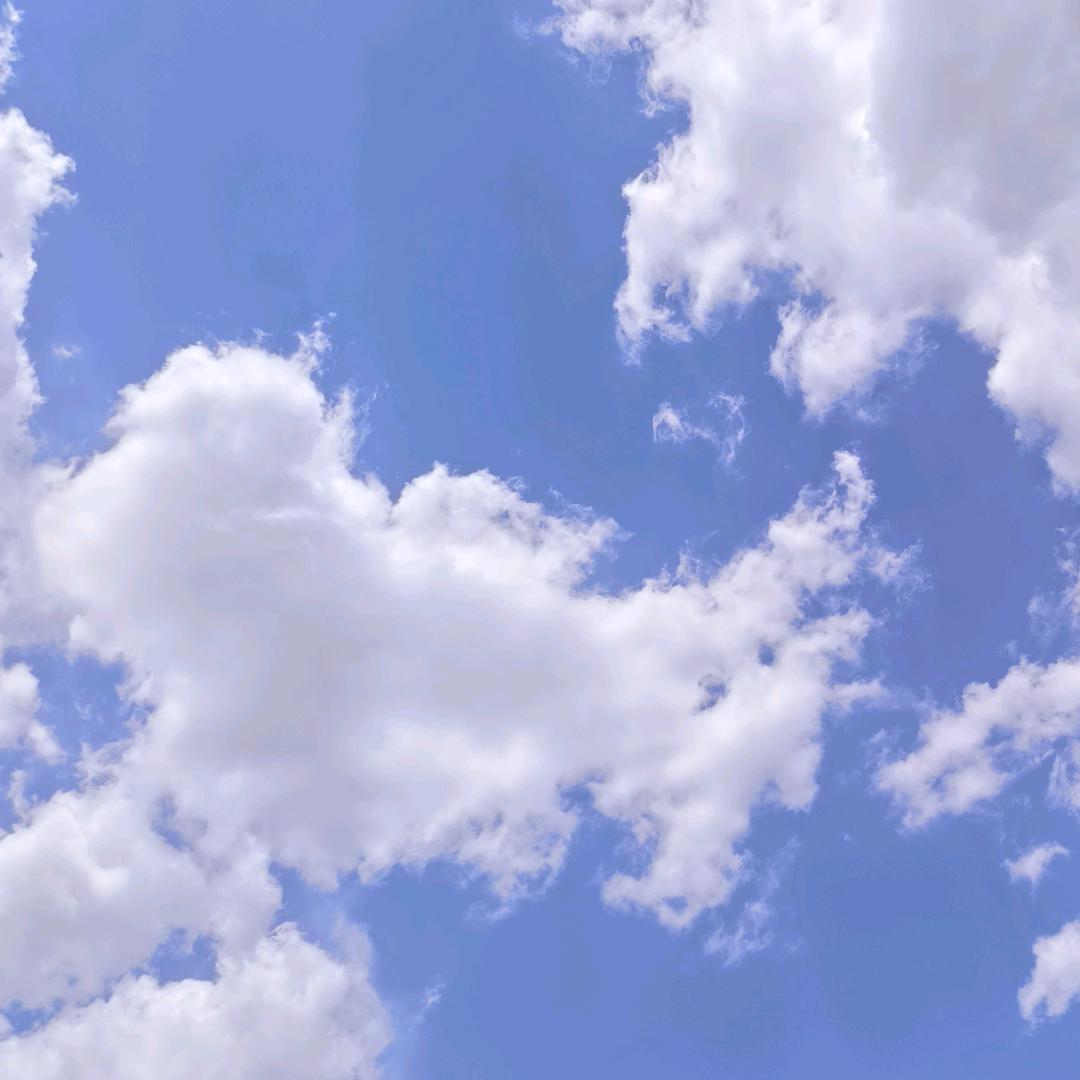 维也纳的星光