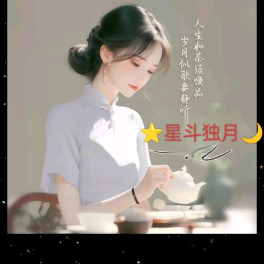 ✨星斗༒独月🌙