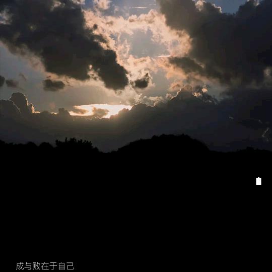 张老八
