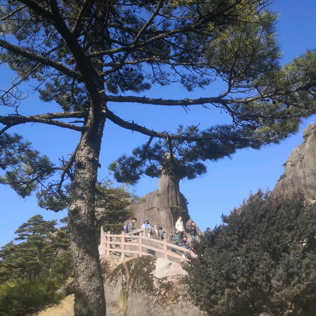 依旧老师