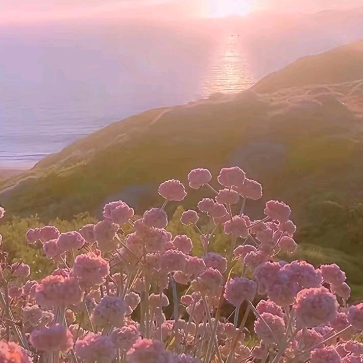 仙气儿飘飘🌸🌸