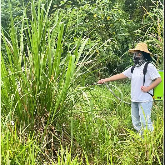 晴雨表农资胡老师