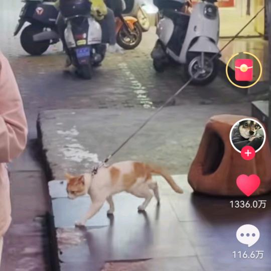 街角遇到你🧐