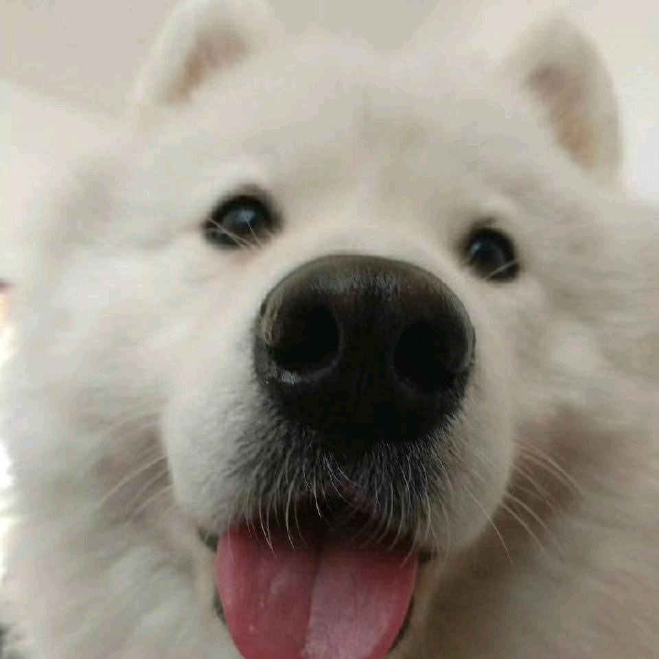 🦴