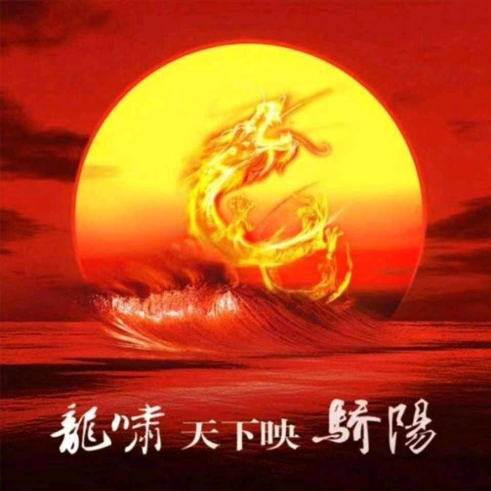 奔向太阳