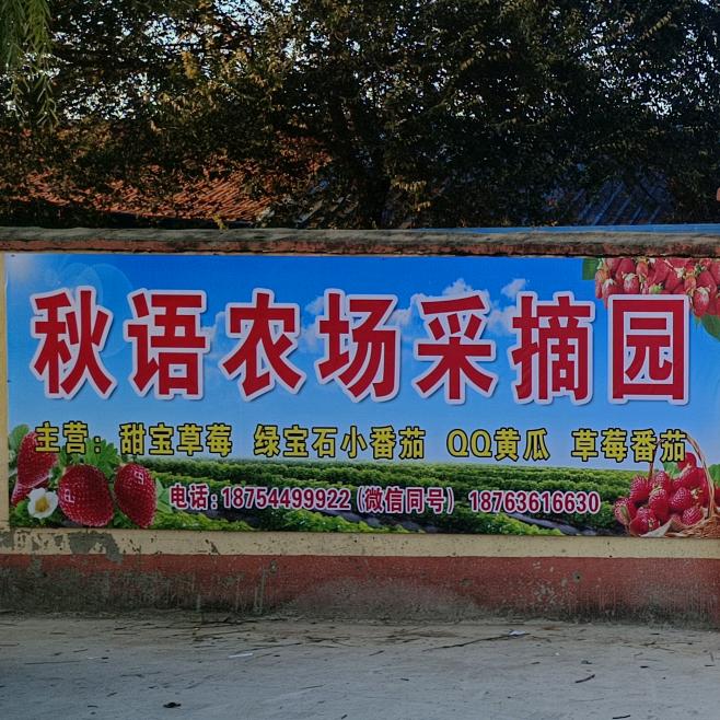 高密市秋语农场草莓采摘园