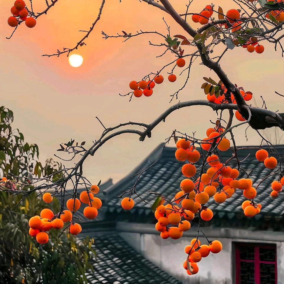 🌈做个俗人