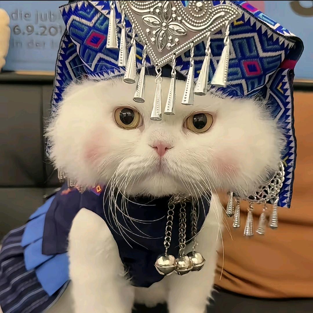 一口芝士