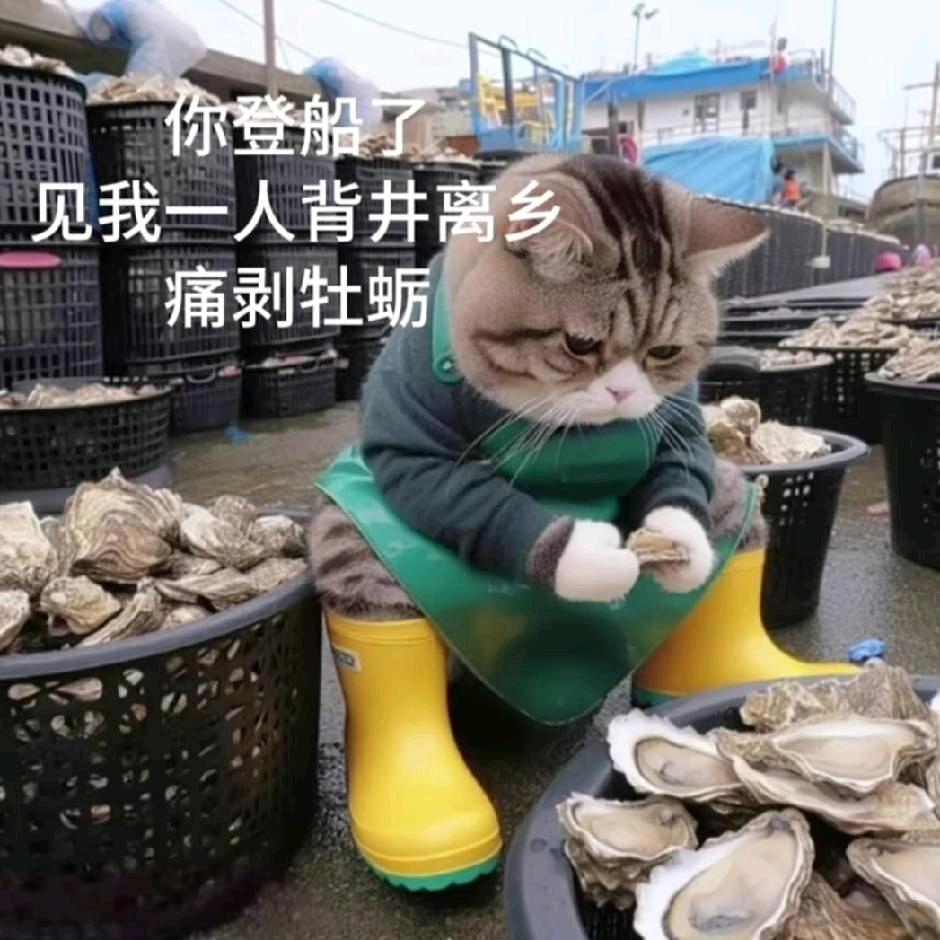 日常卑微十口子🕊️🌱📰