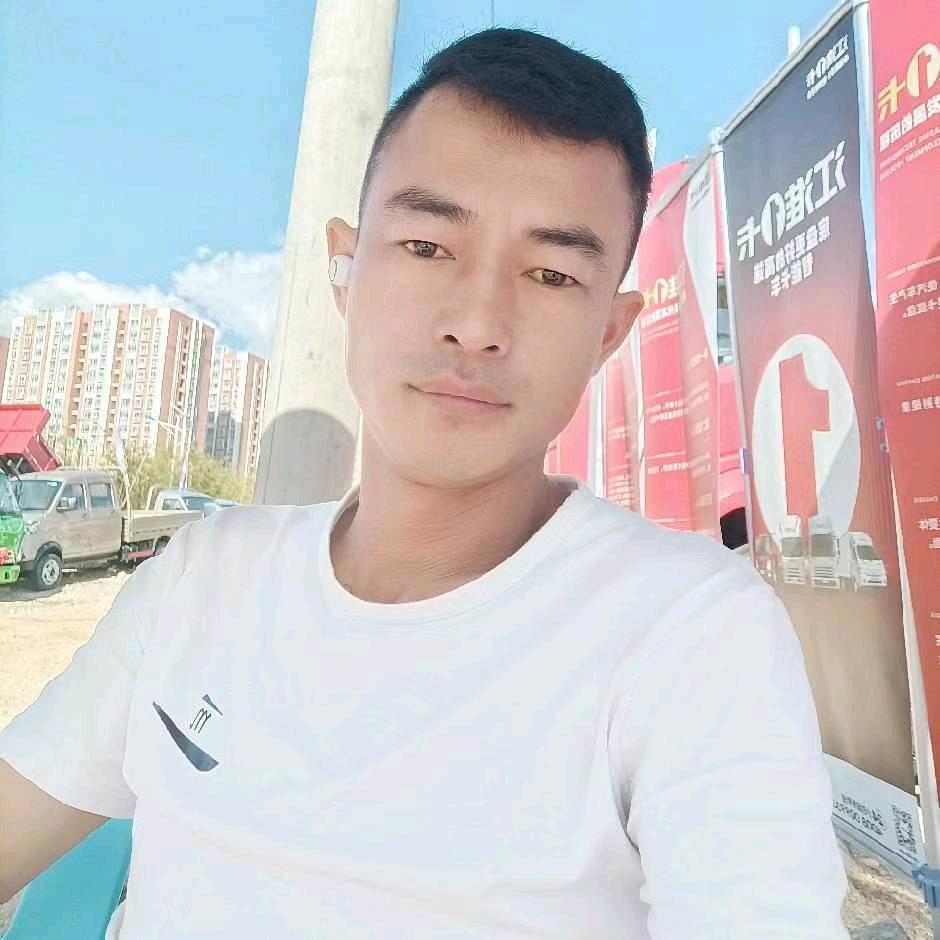三环自卸车【明哥哥】