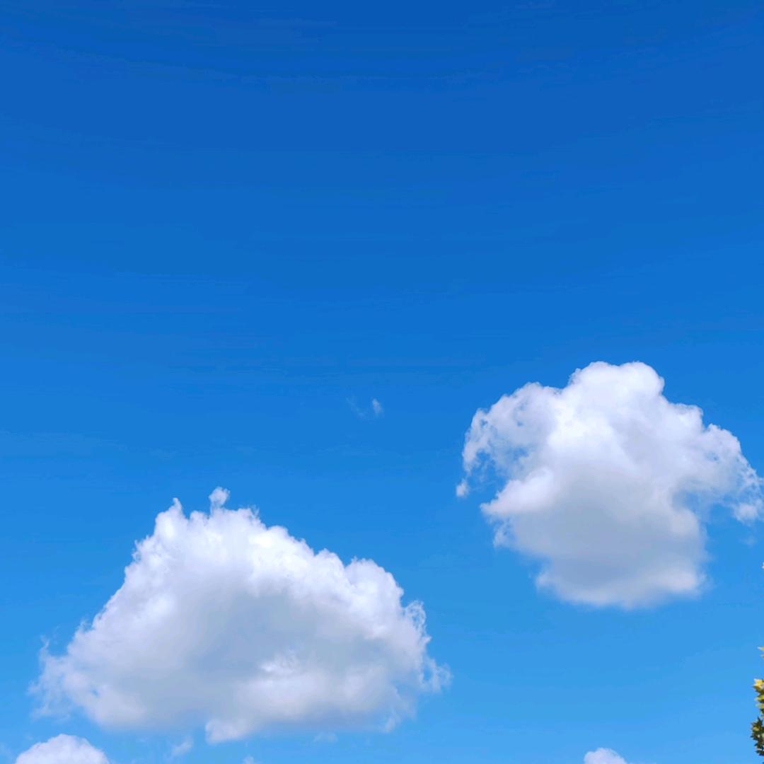 笑笑