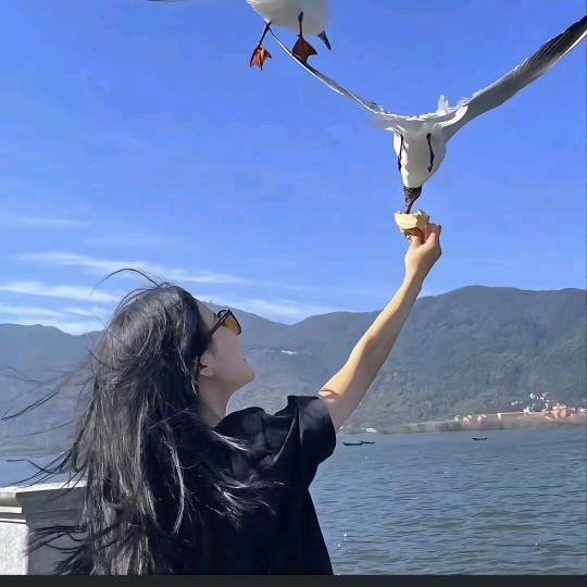 爱笑的人呀