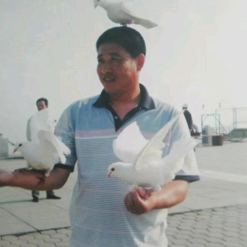 简单也极端
