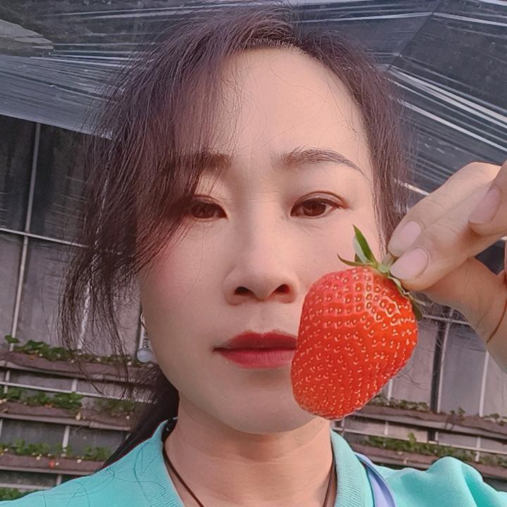 黄骅种草莓的青青