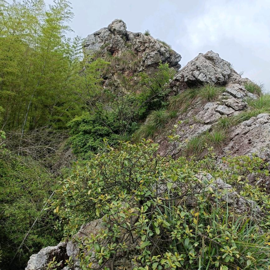 没钱的日子真不好过