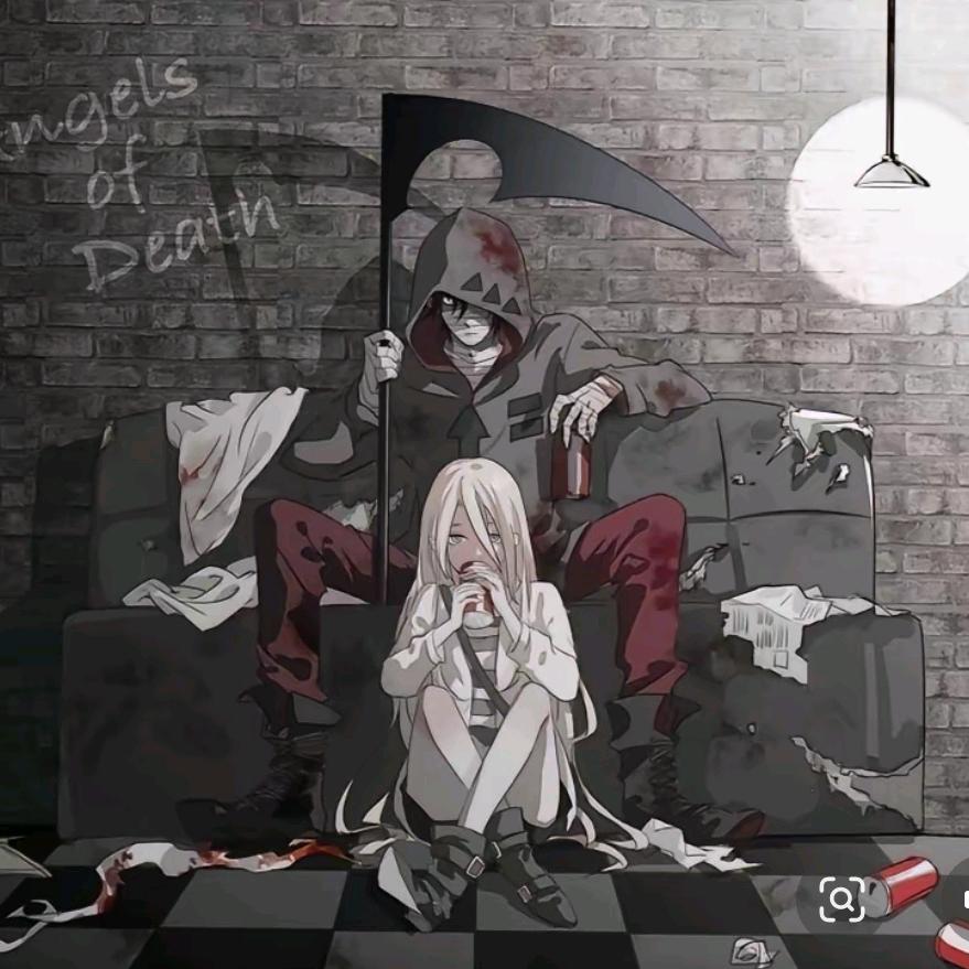 困了的小菜包😪