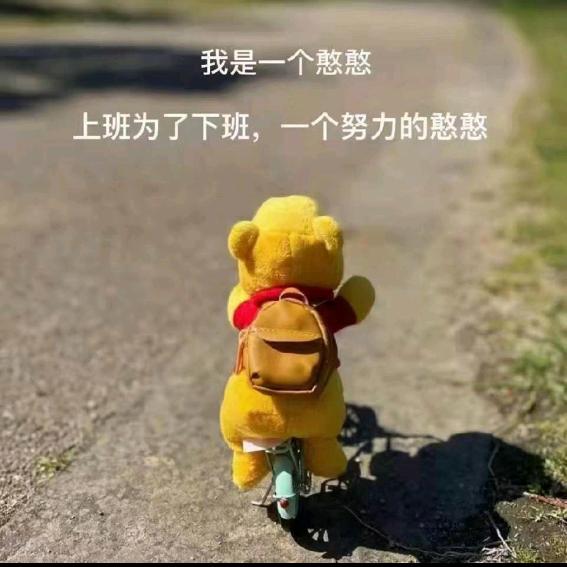 忠意姐姐