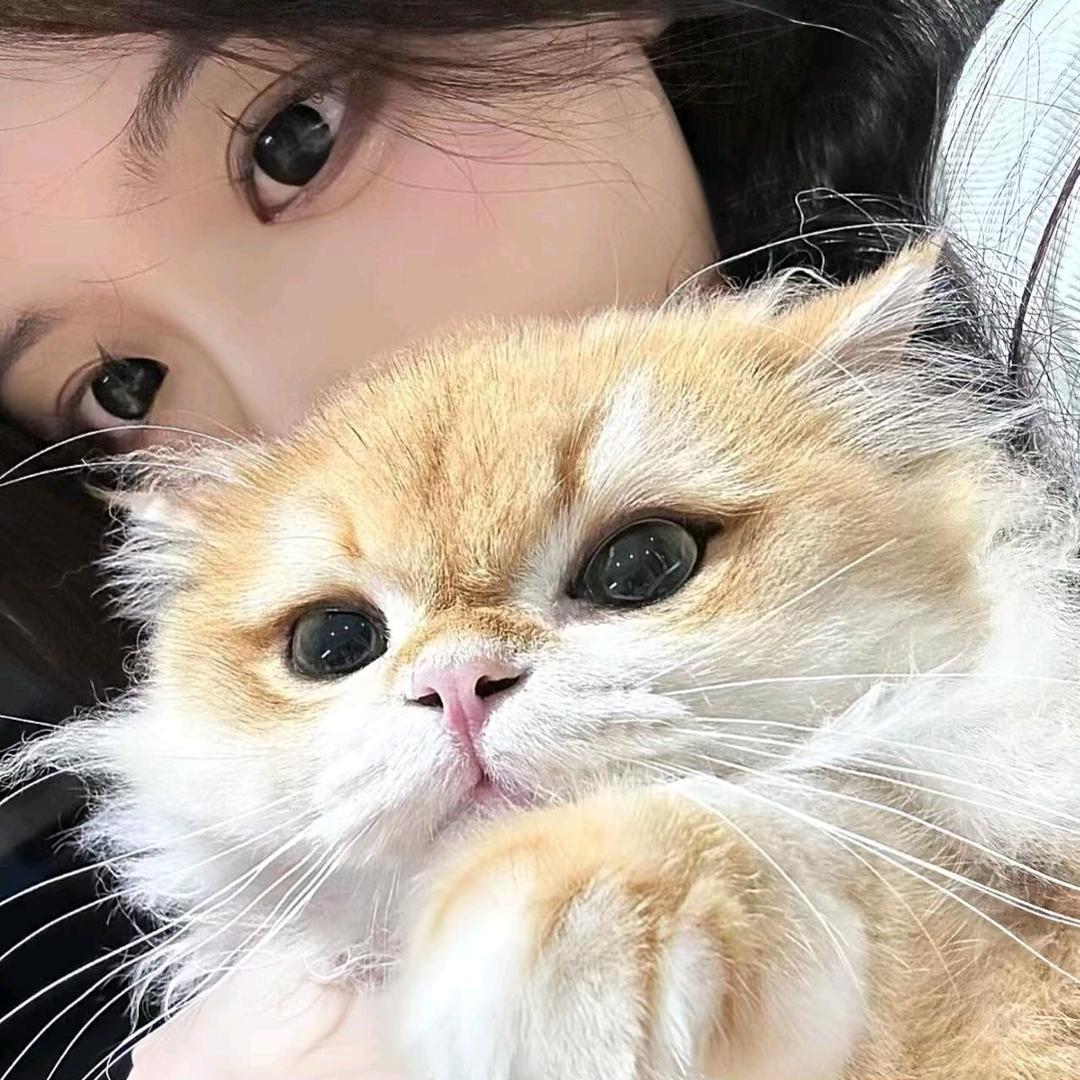 特日格乐.zq