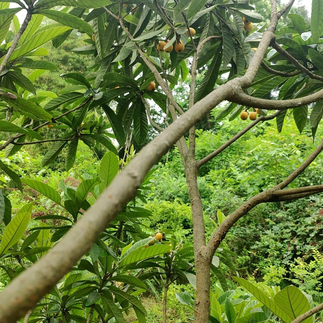 真爱一生〈拒绝私聊〉