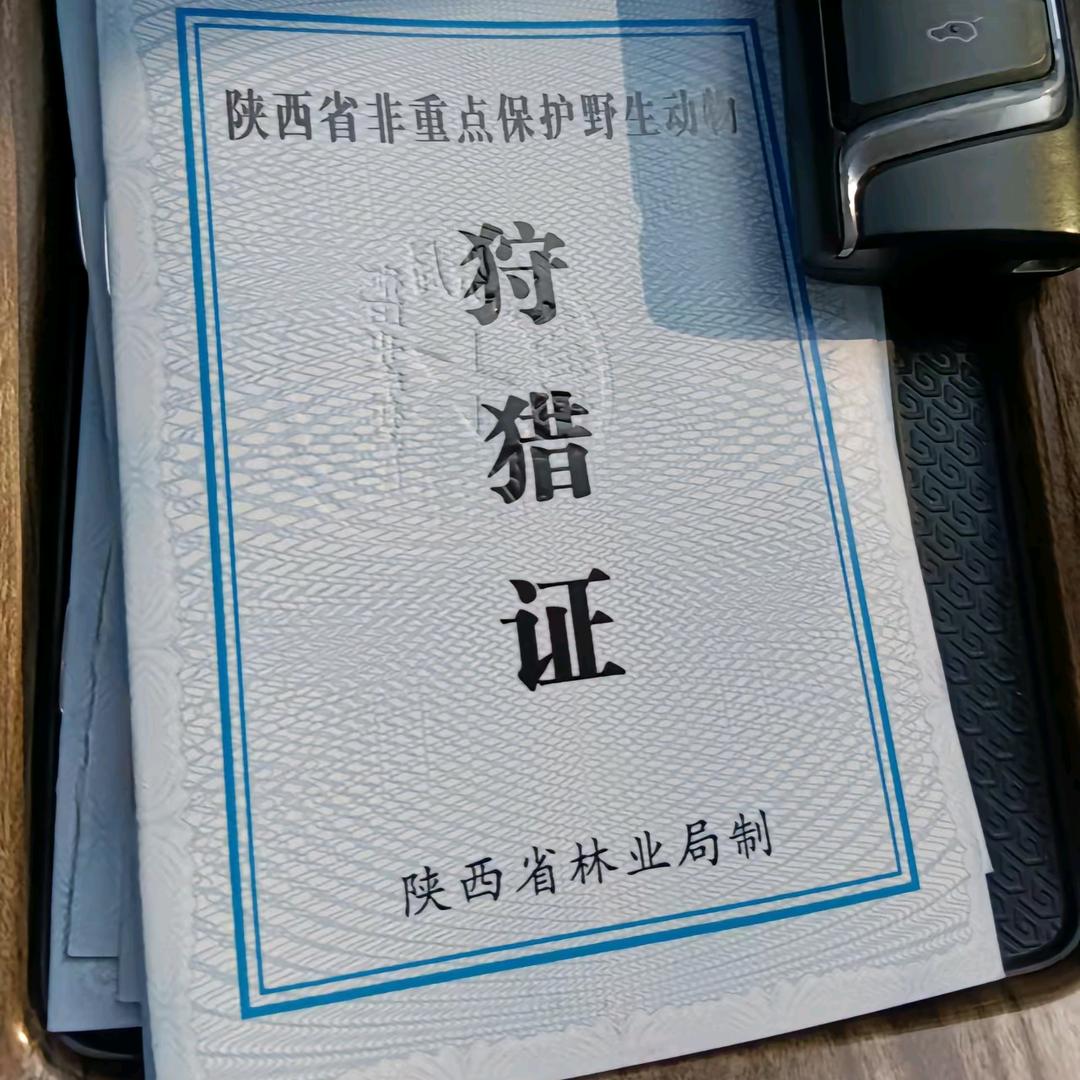 陕南波哥（公益护农）