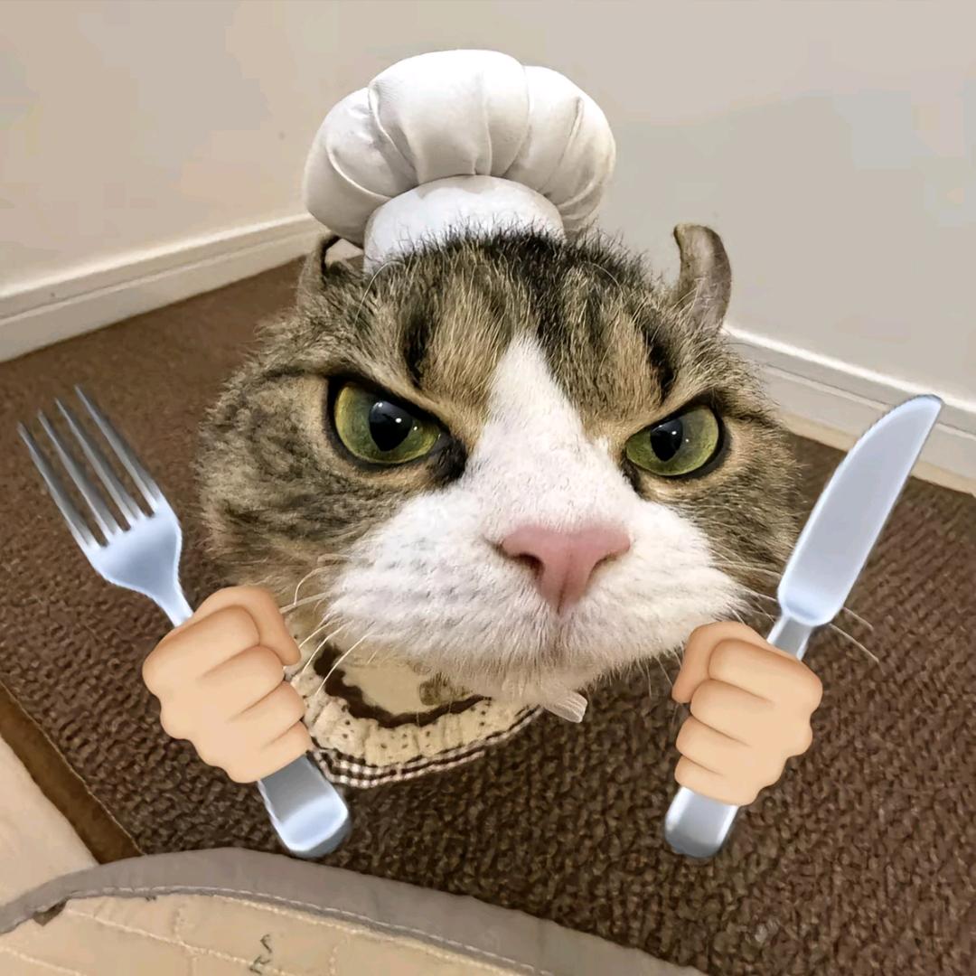 猫猫这个可爱
