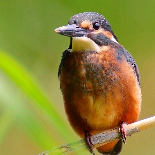 小城的影像故事