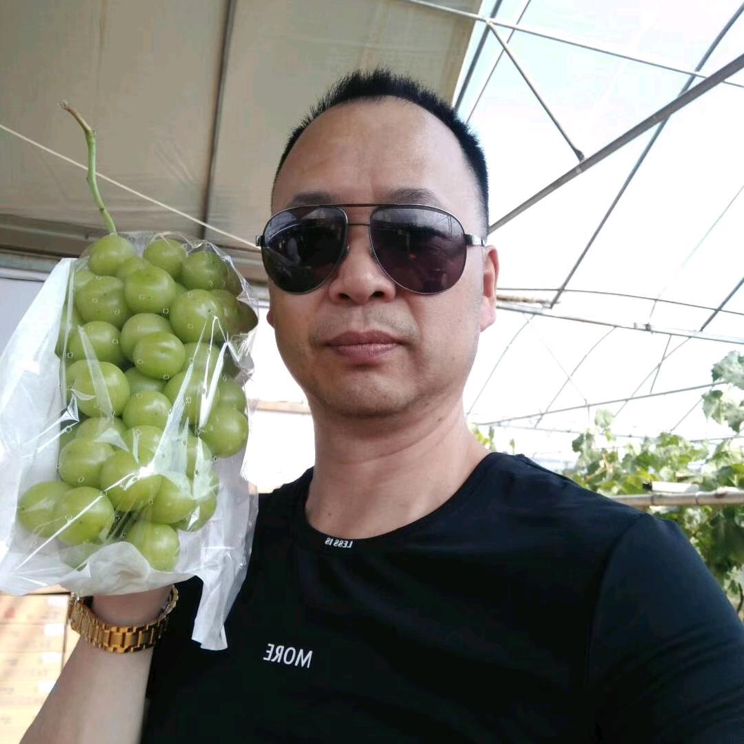 铭记于心的疼