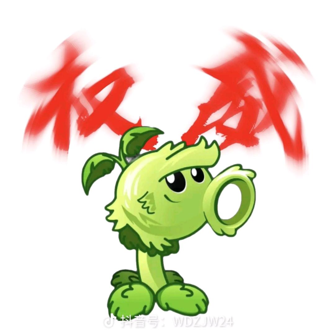 张可豪