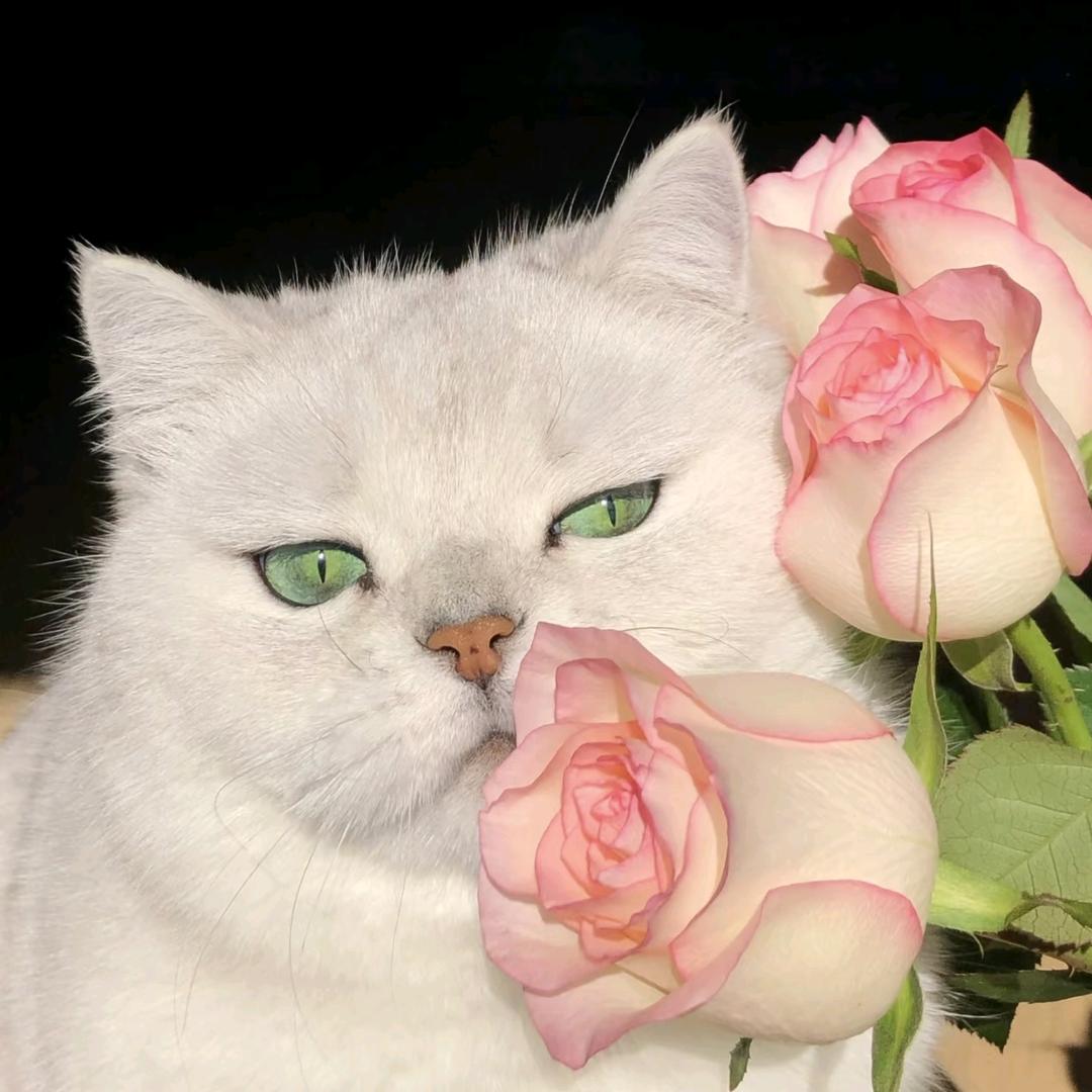 梦不到蓝色的天