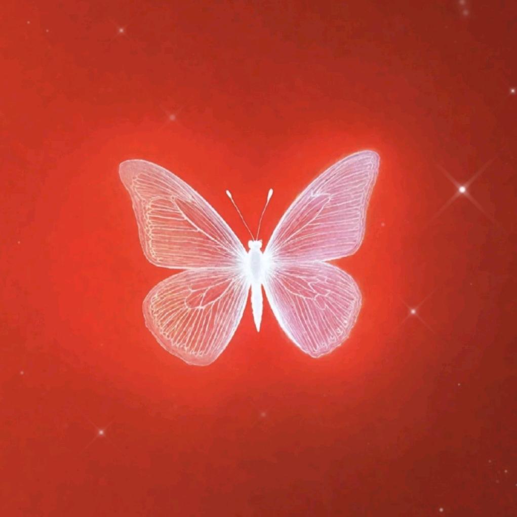 蝴蝶飞去哪儿（悟空团队）