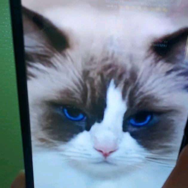 何何何老师真不是结巴哇咔咔