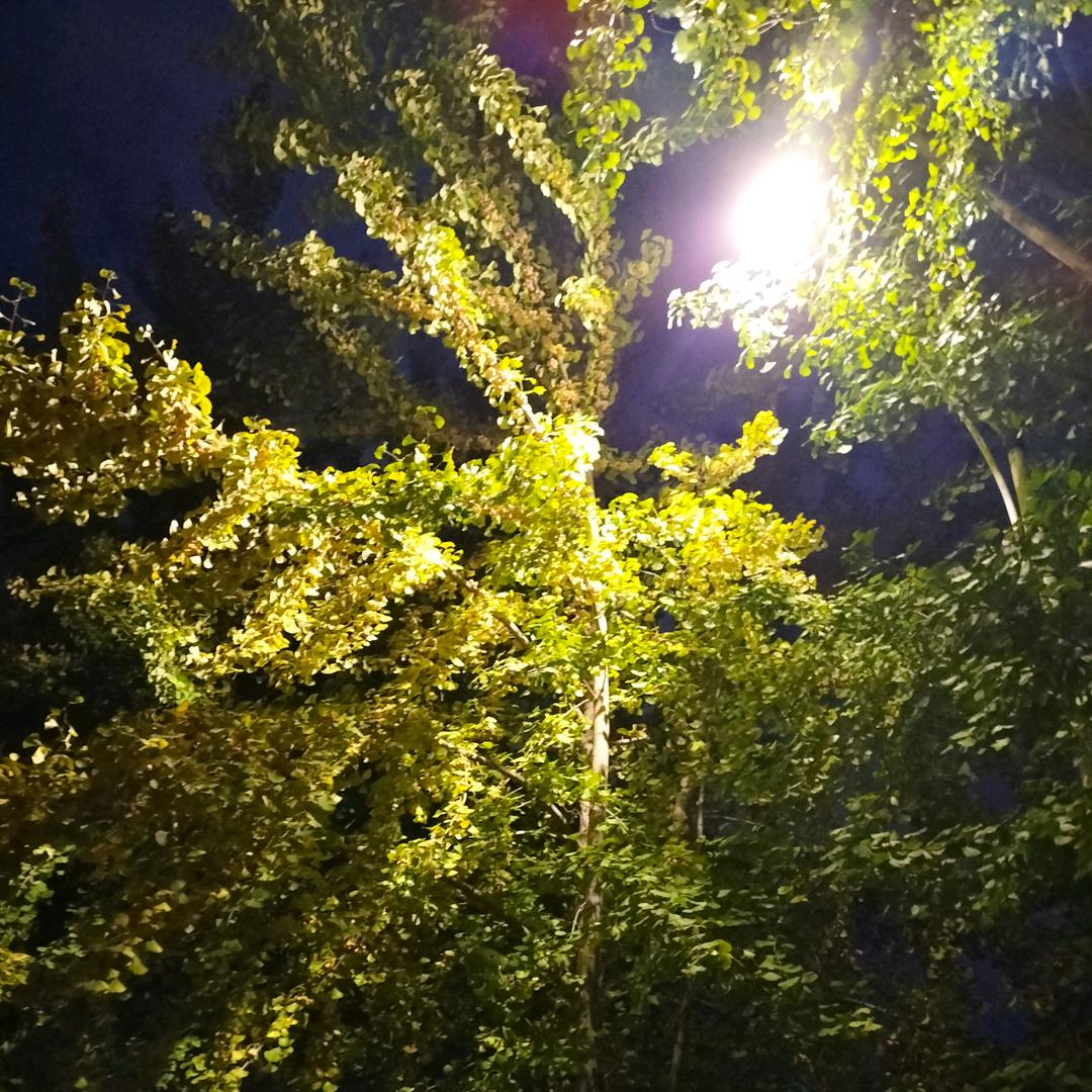 努力才幸福(^_^)