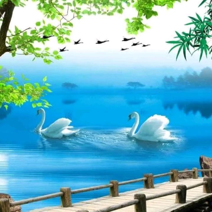 柔廷