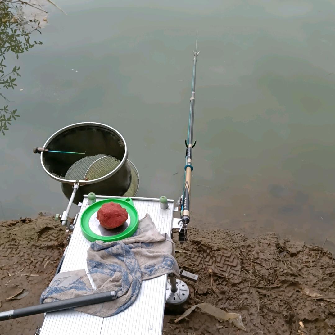 苏苏✨💰🎣