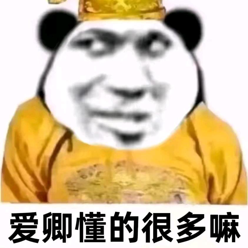 小何学长（盖Z论W打K刷K校园P）