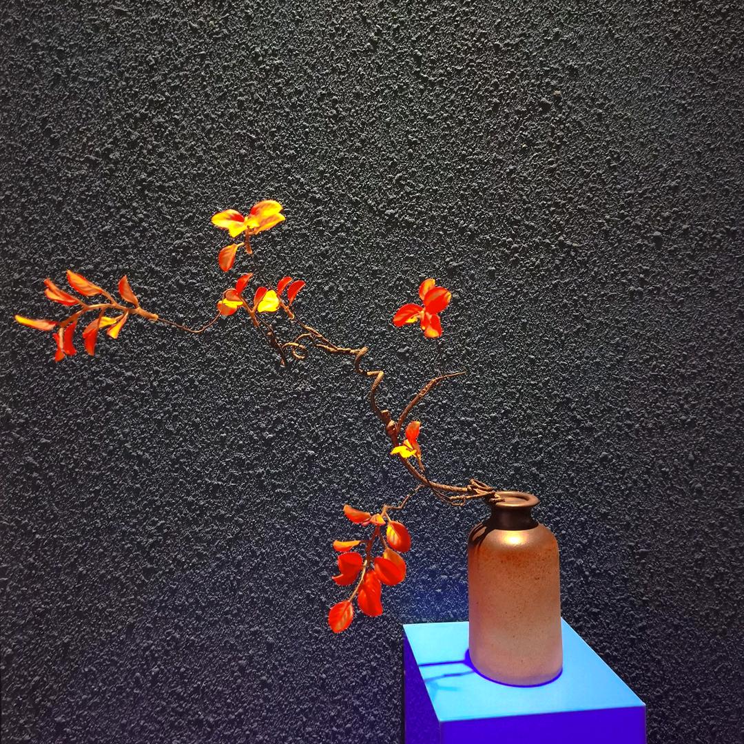 是宋宋