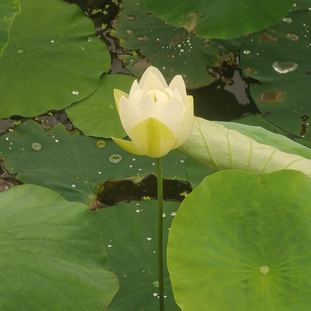 姐已不是当年的姐