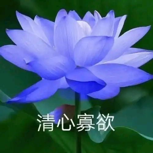 李大爷