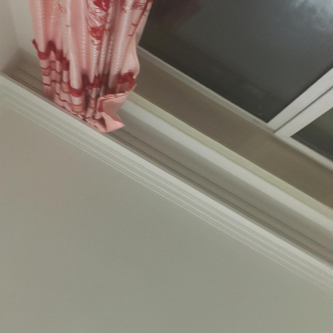 A洋洋