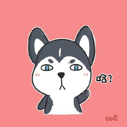 小蛋蛋