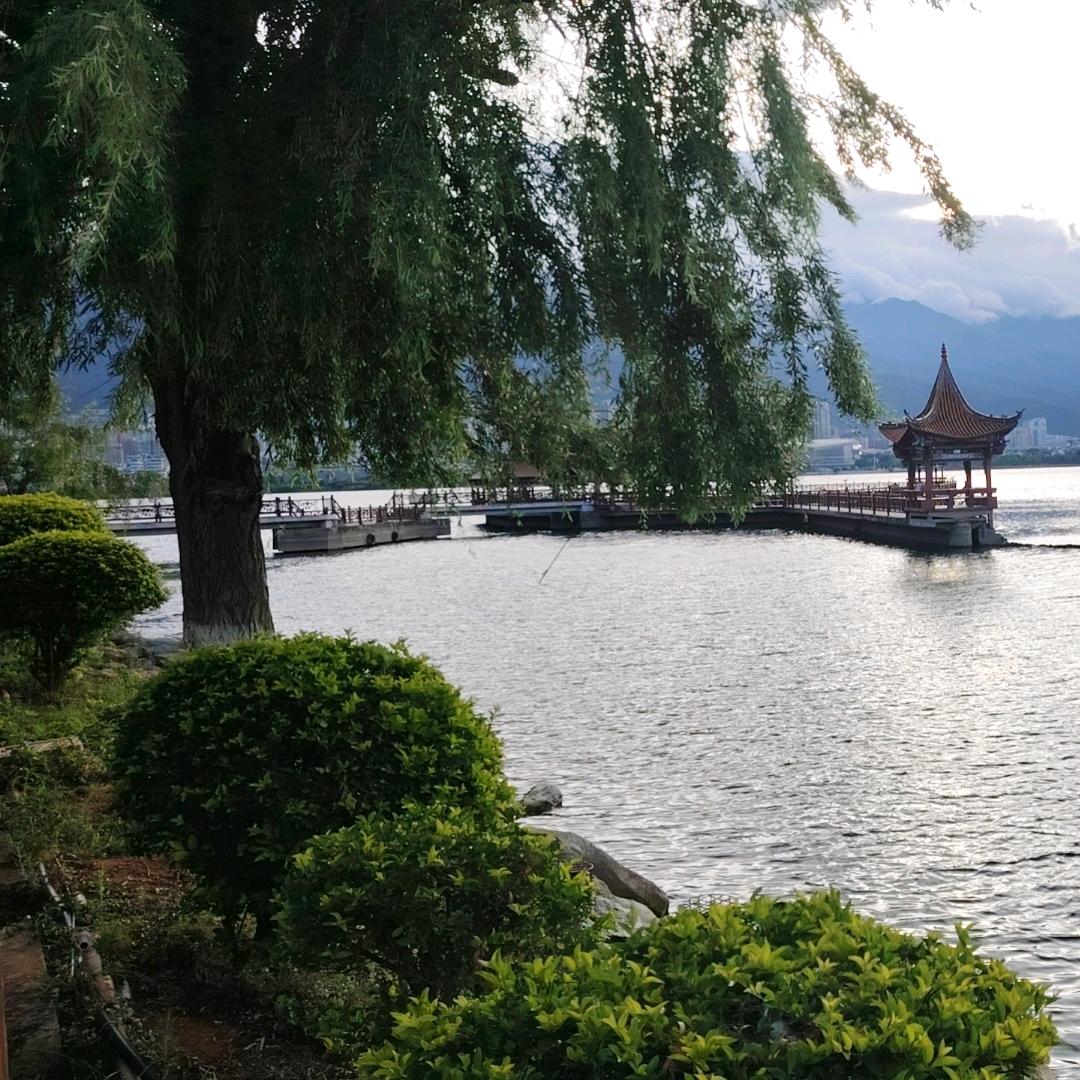 共赴江来