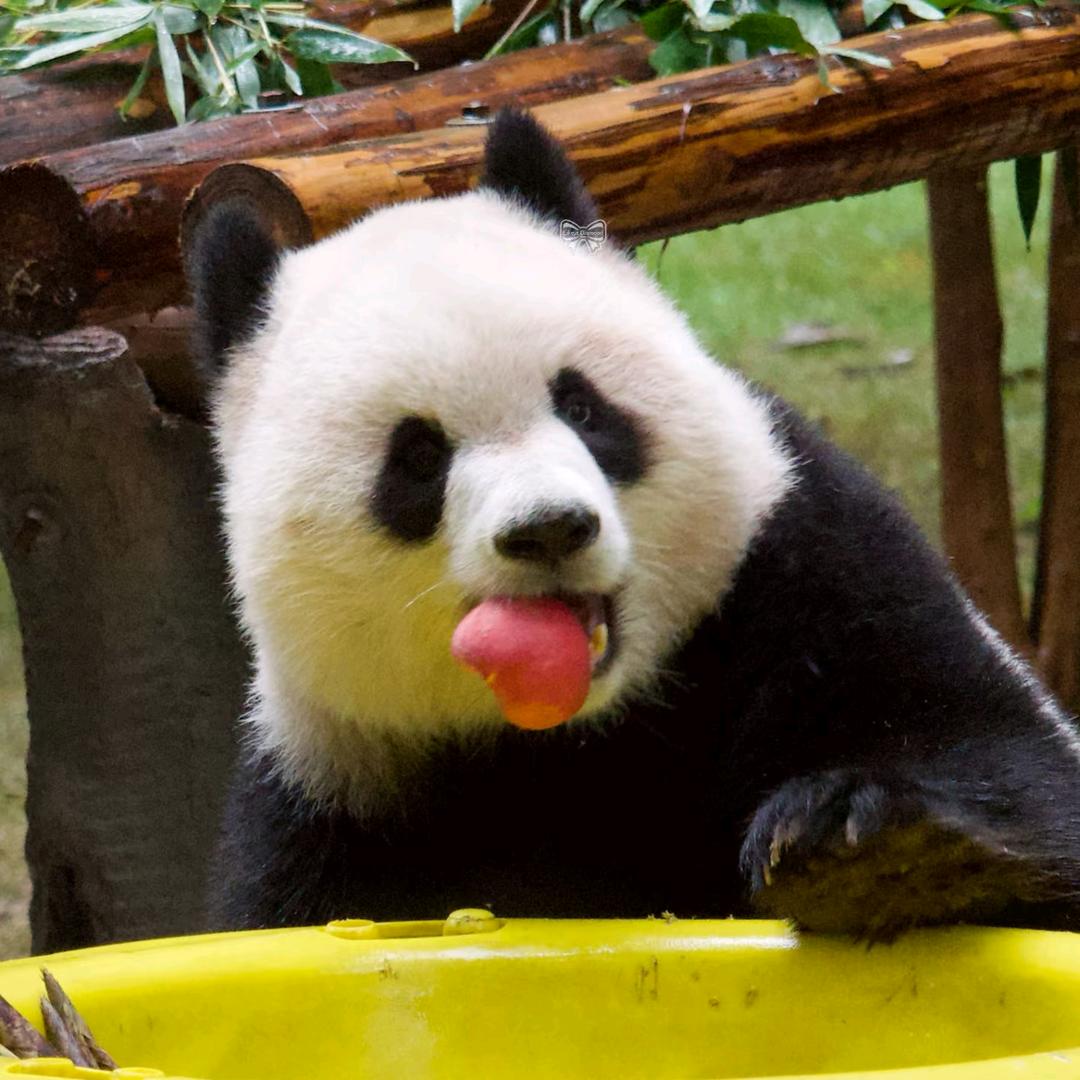 啥时候有马甲线